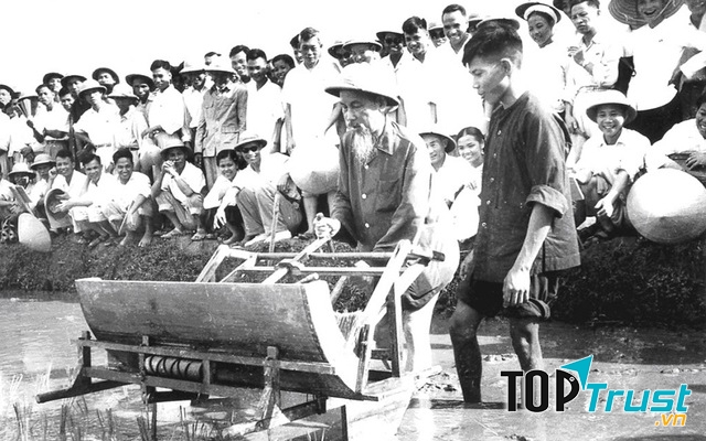 Ảnh minh họa (Nguồn internet)