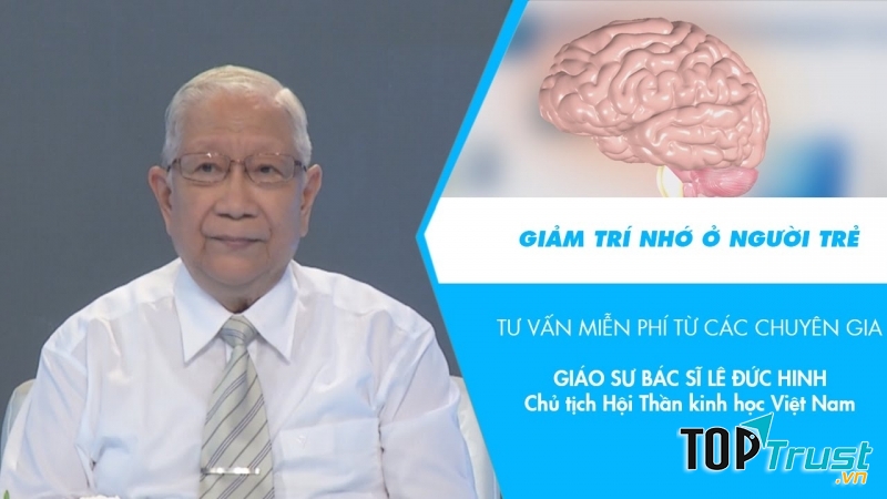 Giáo sư, Tiến sĩ Lê Đức Hinh làm cố vấn cho một chương trình truyền hình