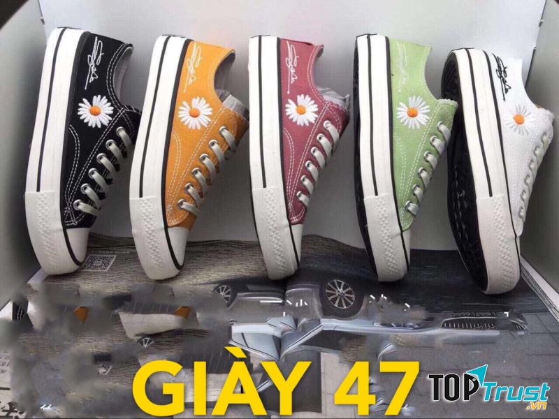 GIÀY 47