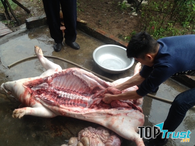Giết lợn bị đọa vào địa ngục