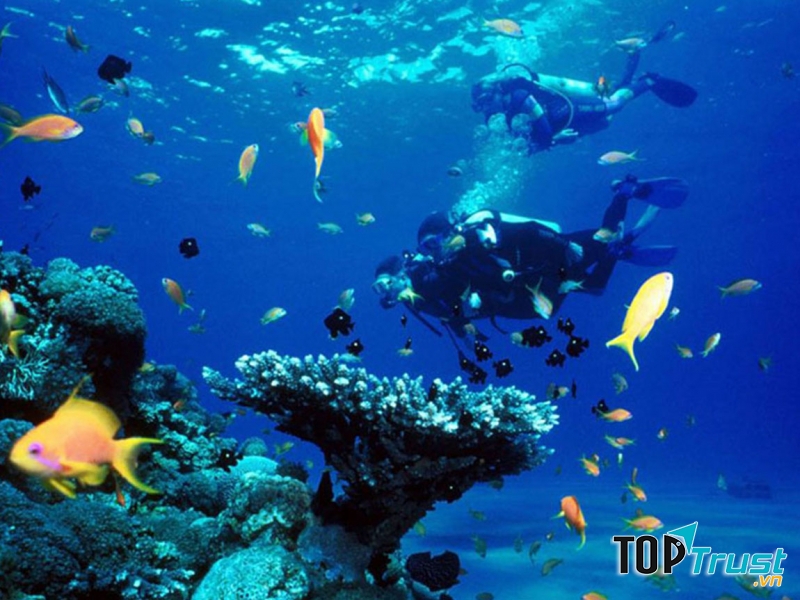 Giữ ấm cho cơ thể