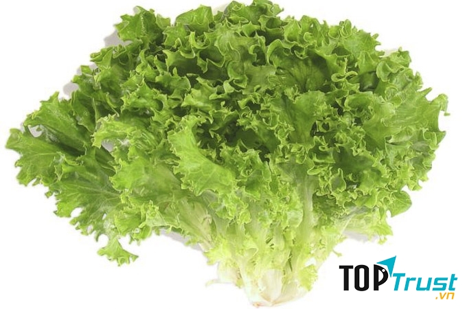Giữ rau xà lách tươi lâu hơn