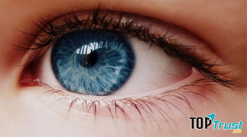 Giun kí sinh trong mắt.