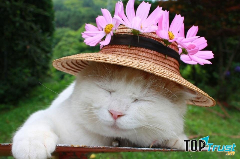 Ảnh minh họa (Nguồn internet)