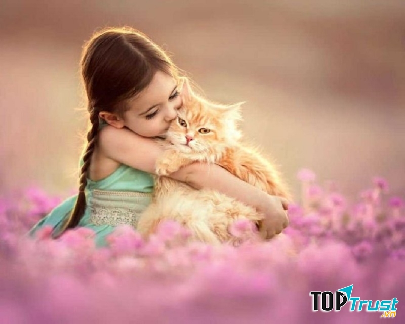 Ảnh minh họa (Nguồn internet)