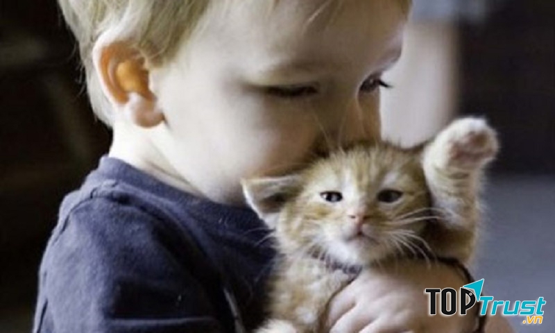 Ảnh minh họa (Nguồn internet)