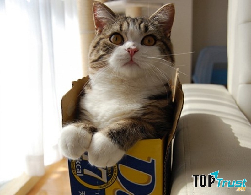 Ảnh minh họa (Nguồn internet)