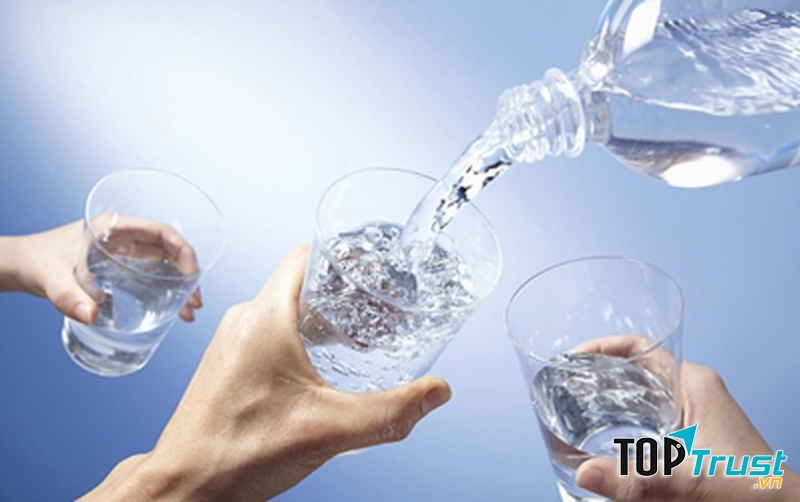 Giúp chuyển hóa thức ăn thành năng lượng