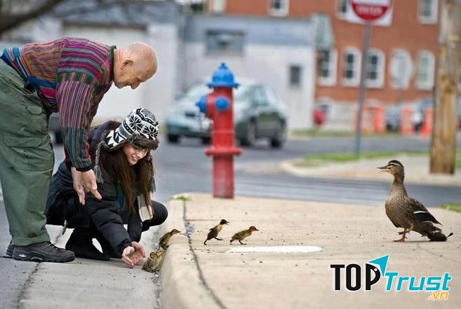 Nguồn: Free your idea