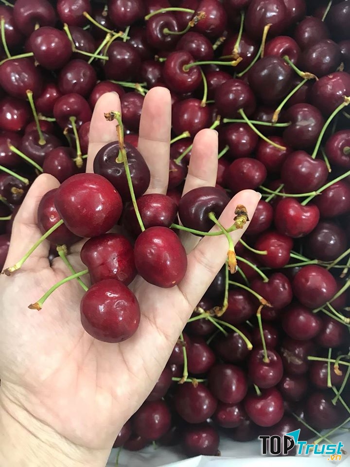 Go Fruits - Trái cây nhập khẩu