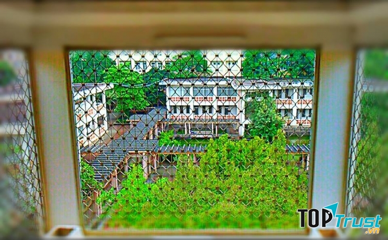 Không xanh xanh mướt thoáng đãng thật đẹp mắt! (Ảnh Fb Ulis Photography)