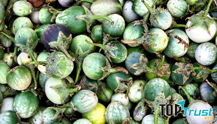 Cà đắng tại Buôn Ma Thuột