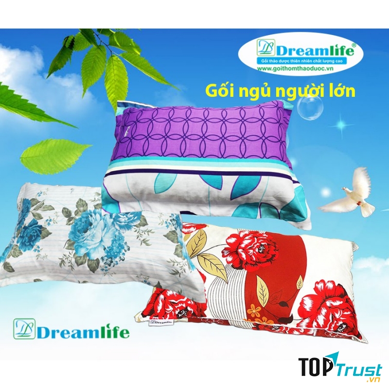 Gối đinh lăng Dreamlife