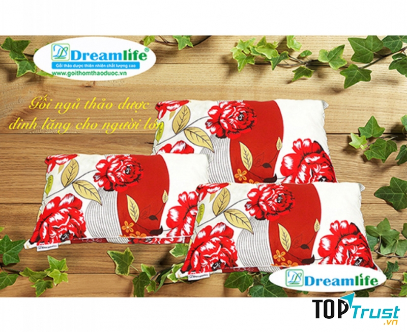 Gối đinh lăng Dreamlife