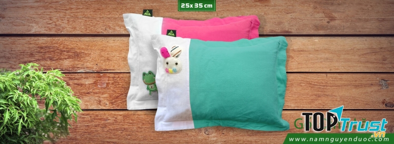 Gối đinh lăng Nam Nguyên Dược