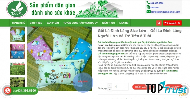 Gối đinh lăng Tâm An