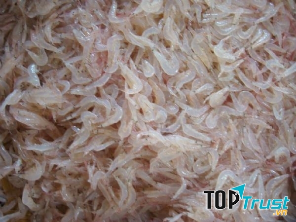 Những con tép biển tươi ngon được làm sạch để chế biến