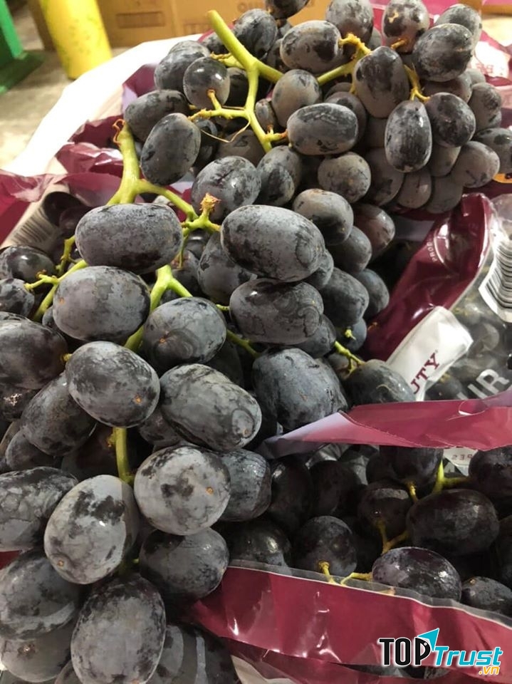 Gold Fruit - Hoa quả sạch Hà Nội