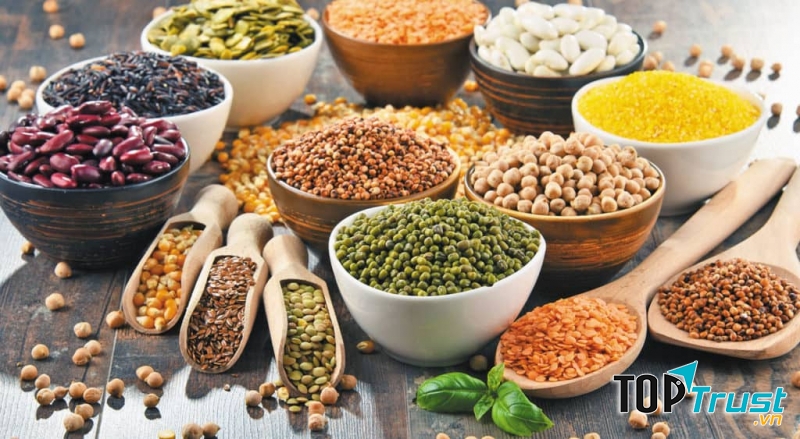 Góp phần điều trị bệnh trĩ