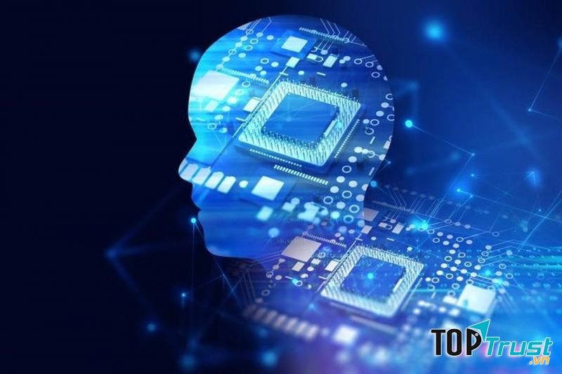 Sự hiếu kỳ sâu sắc về trí tuệ