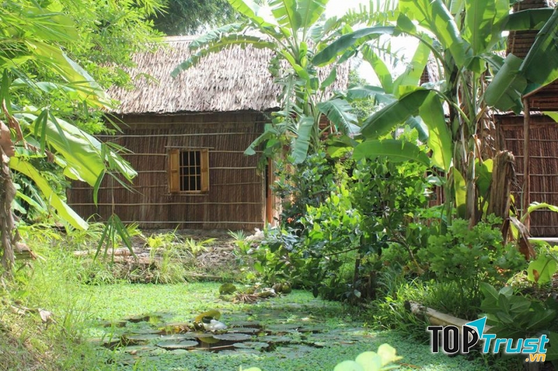 Green Village Homestay nằm tại Cần Thơ xinh đẹp