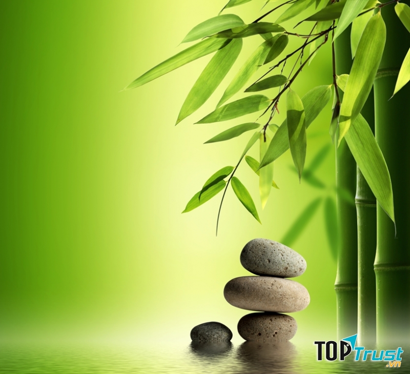 Phật pháp chính là trạng thái tự nhiên và ảo tưởng sẽ khiến đánh mất đi trạng thái tự nhiên