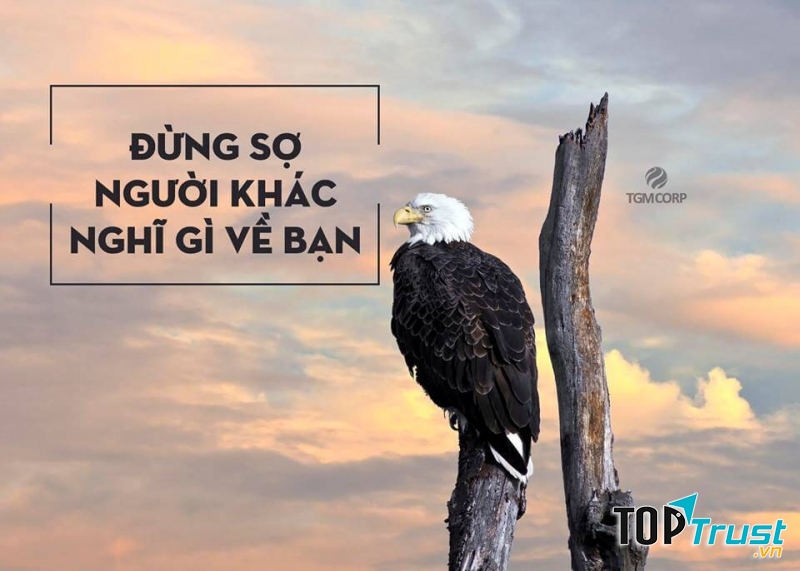 Đừng lãng phí thời gian vào việc suy xét xem ai là người tài giỏi nhất