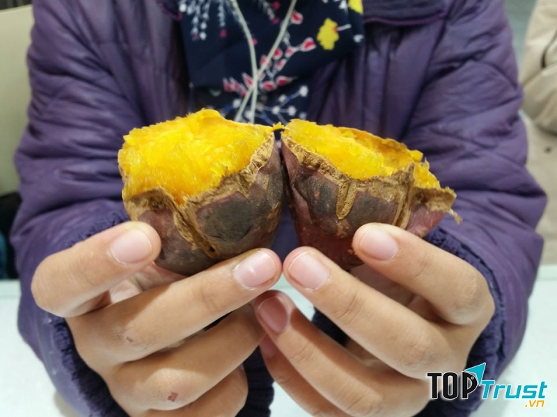 Gun goguma - Khoai lang nướng