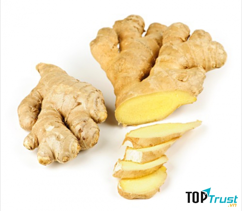 Gừng là một vị thuốc