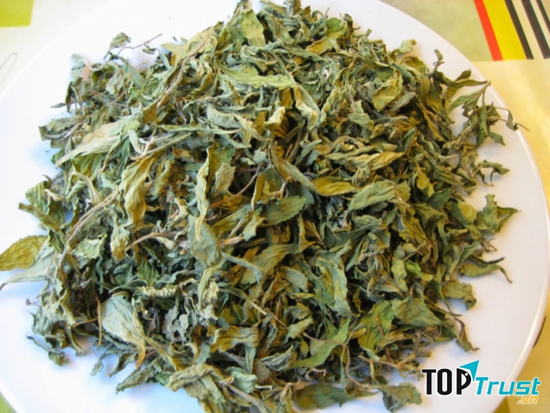 Ảnh minh họa - nguồn internet