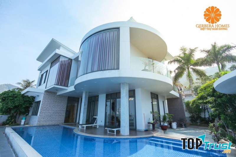 Gerbera Home Infinity