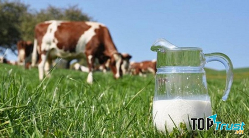 “Nuôi dưỡng từ thiên nhiên” giúp Cô Gái Hà Lan mang đến dòng sữa organic tốt lành.