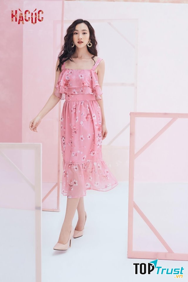 Hà Cúc Hà Nội