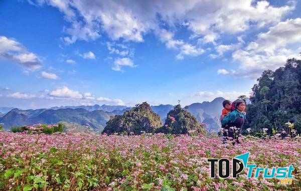 Bạn có giống tôi khi quên lối đi về khi lạc vào rừng hoa