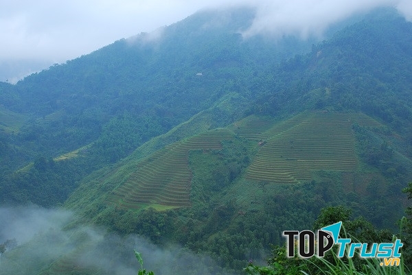 Và dù đến Hà Giang vào bất cứ mùa nào trong năm, du khách cũng bị hấp dẫn bởi màu sắc của núi rừng