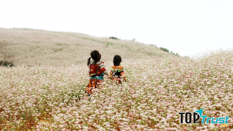Hà Giang