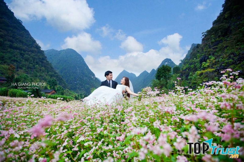 Chụp ảnh cưới ở thung lũng Sủng Là mùa hoa tam giác mạch