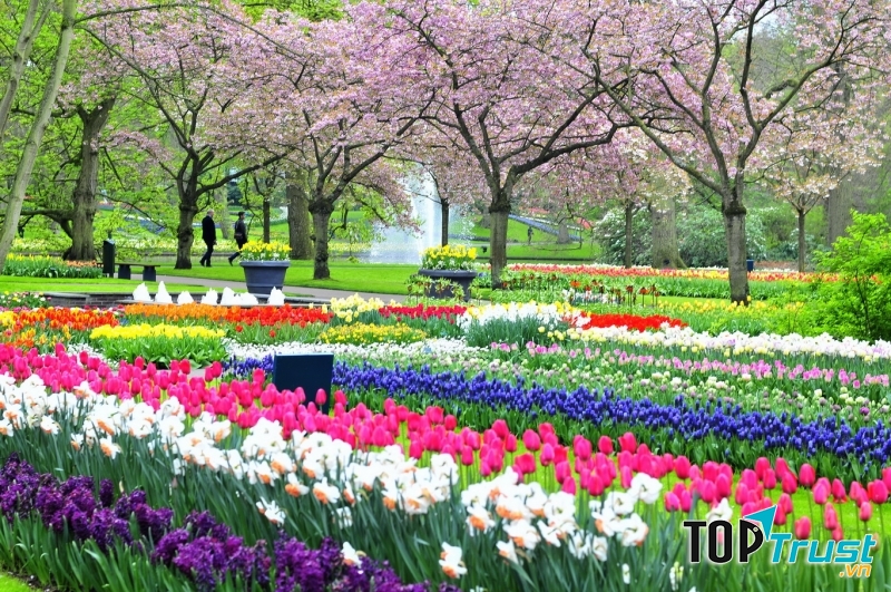 GDP/người/năm của Hà Lan là 46.011 USD