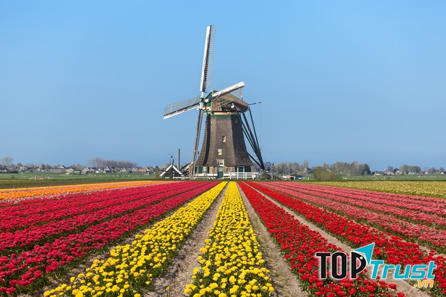 Hà Lan là nước dẫn đầu châu Âu về chỉ số chi tiêu cho y tế hàng năm