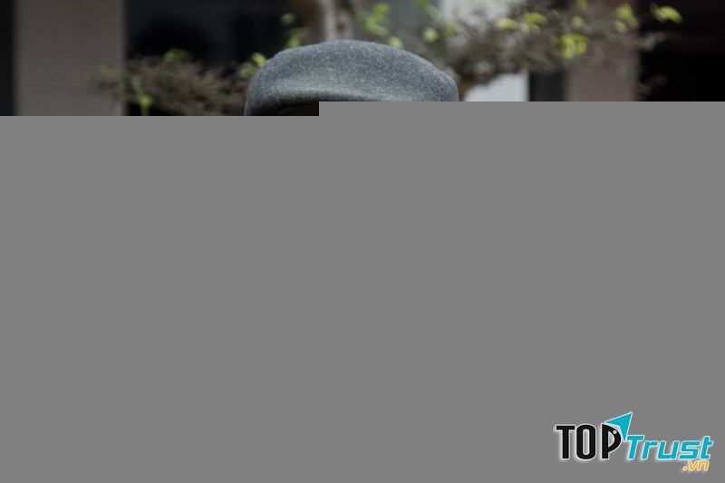 Nhà thơ Trần Đăng Khoa (nguồn internet)