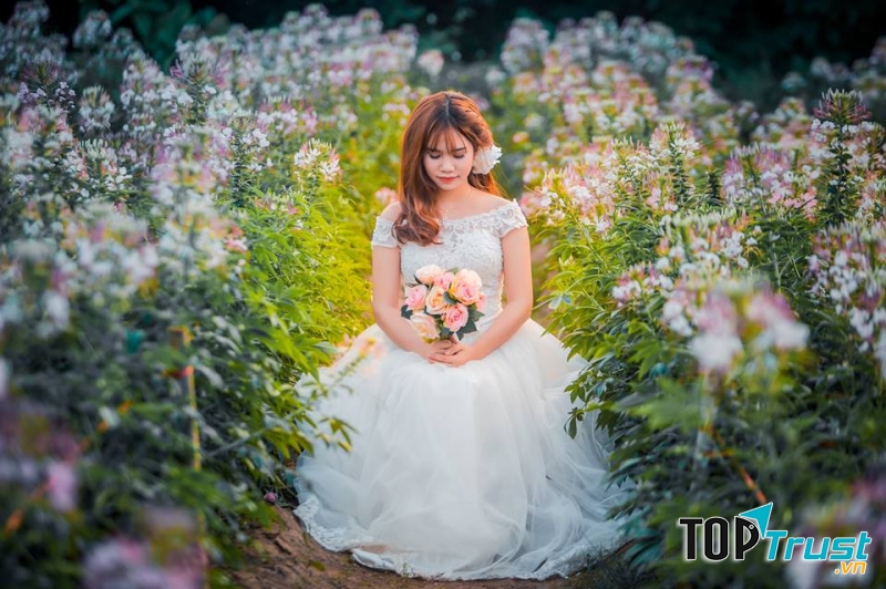 Chụp ảnh cưới ở bãi đá sông Hồng