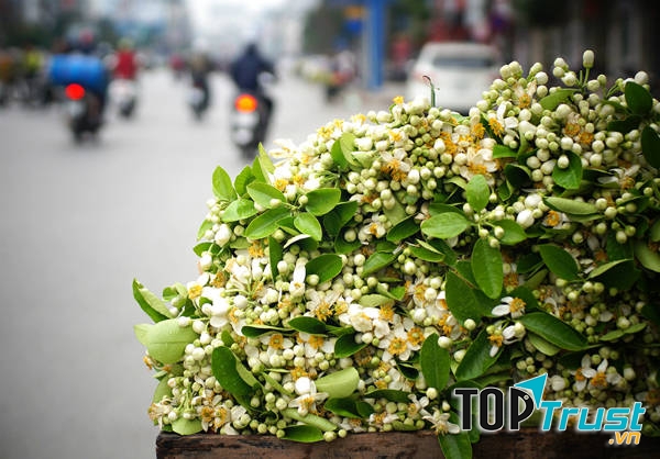 Hà Nội