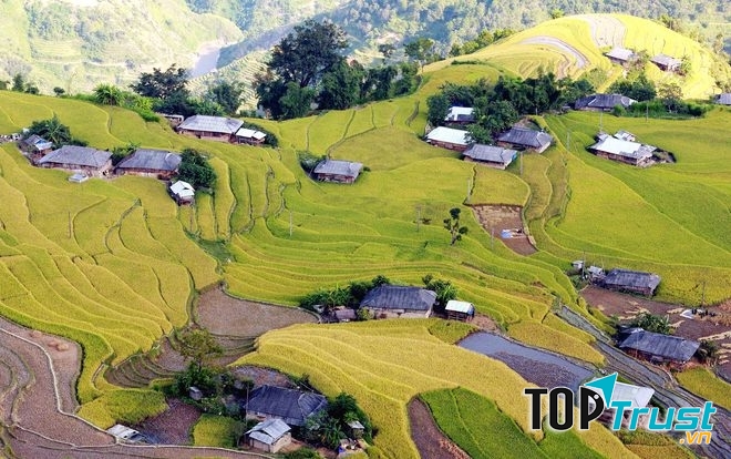 Hoàng Su Phì mùa lúa chín