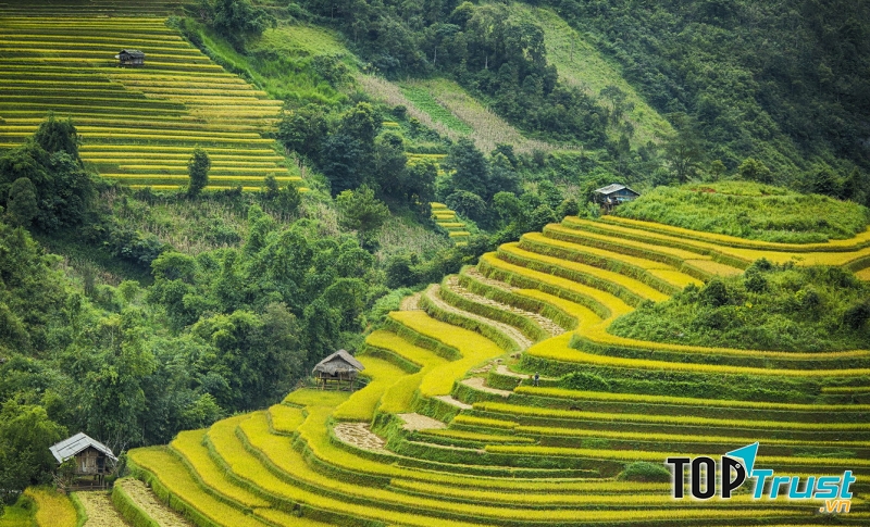 Ruộc bậc thang đẹp như tranh vẽ