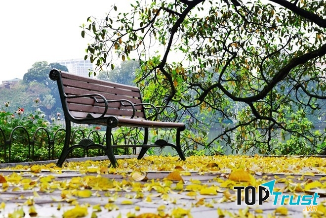 Hà Nội mùa lá bay - Nhạc sỹ Hữu Xuân