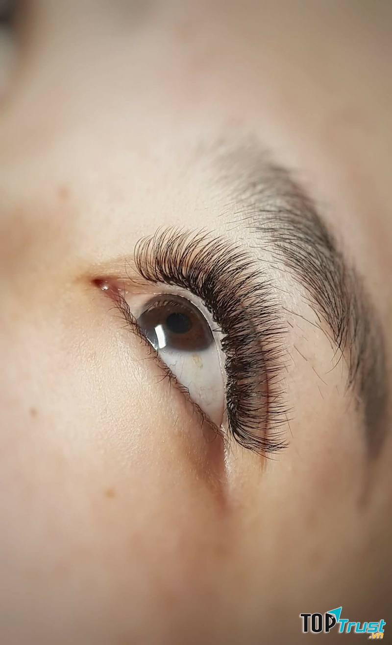 Hà Tâm Nối Mi (Tam Tây Nối Mi)