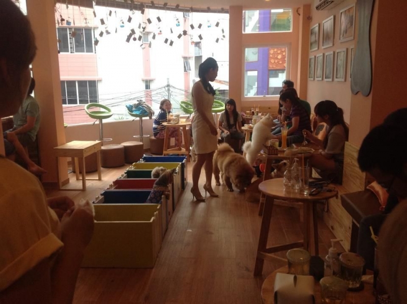 Tầng 2 của Hachiko Coffee