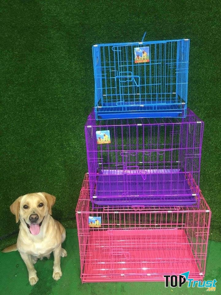 Lồng sơn tĩnh điện - Hachiko.vn