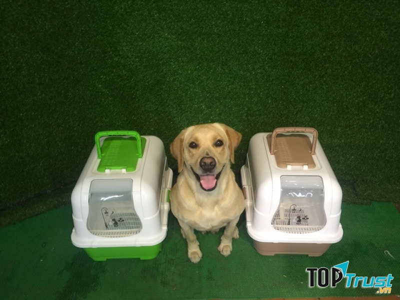 Nhà Wc cho mèo kèm xẻng và cào - Hachiko.vn