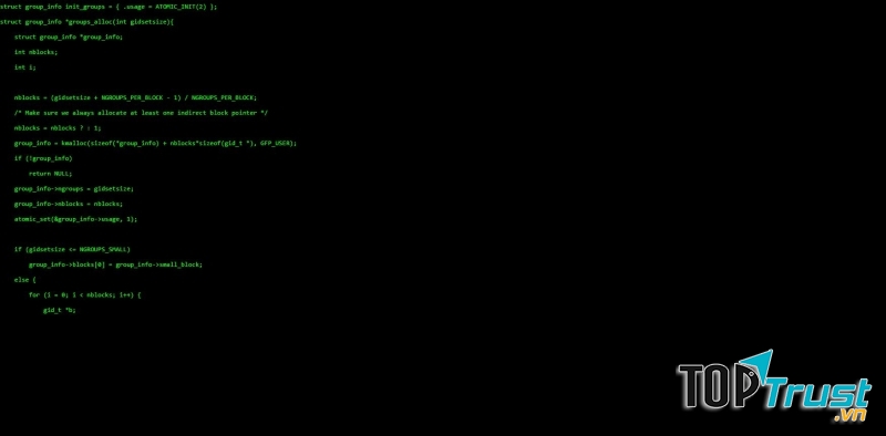 Nhìn như hacker thực thụ nhỉ?